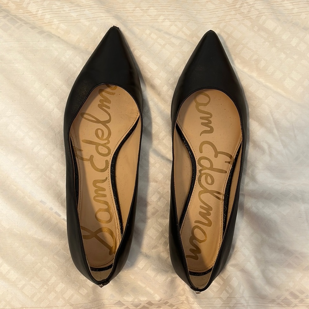 Sam Edelman Rae Black pointed toe leather flats